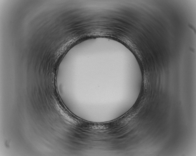 X0000099570445200806131300