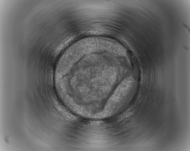 X0000099570446200806131300