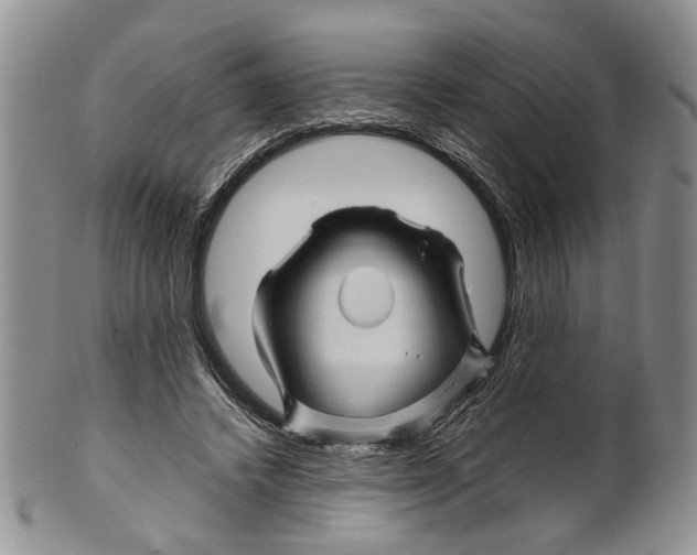 X0000099570448200806131300