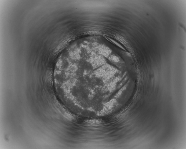 X0000099570449200806131300