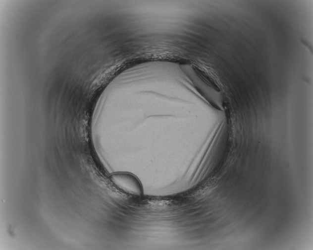 X0000099570450200806131300