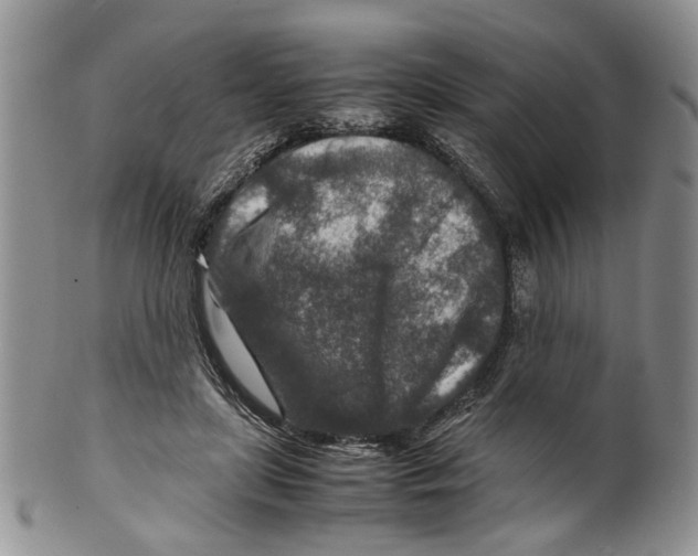 X0000099570451200806131300