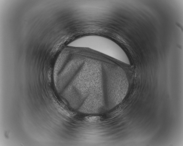X0000099570452200806131300
