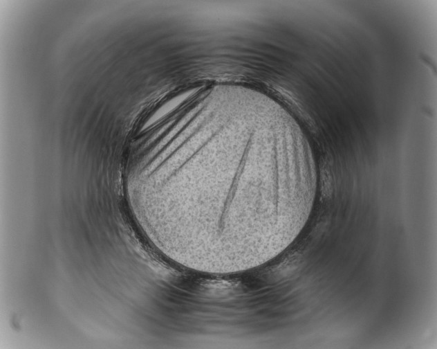 X0000099570453200806131300