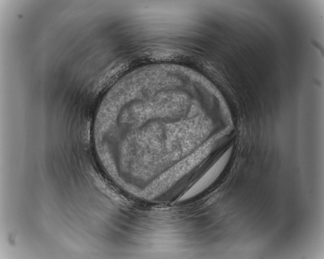 X0000099570454200806131300