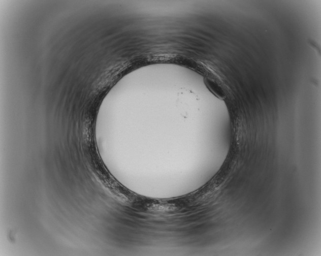 X0000099570455200806131300