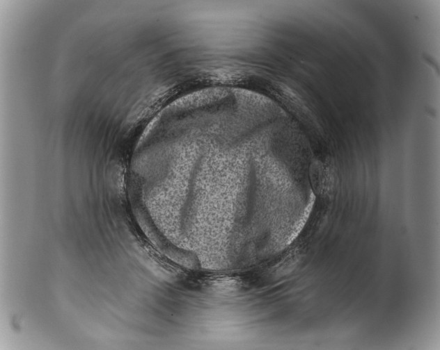 X0000099570456200806131300