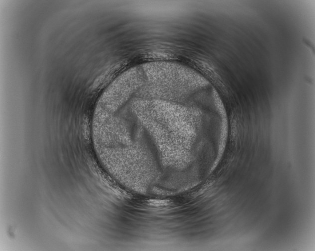 X0000099570457200806131300
