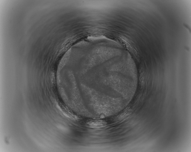 X0000099570459200806131300