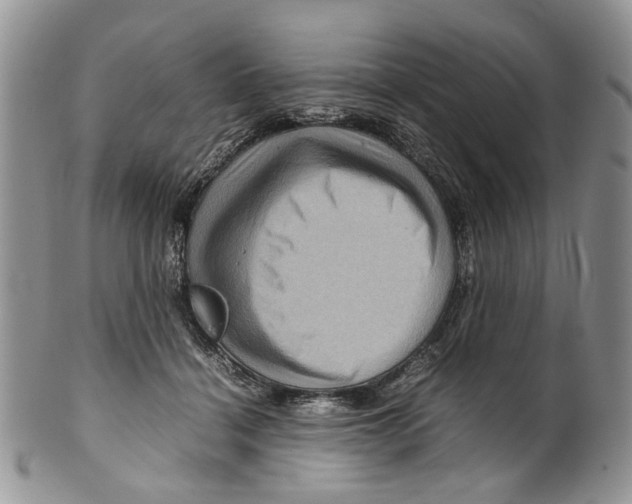 X0000099570460200806131300