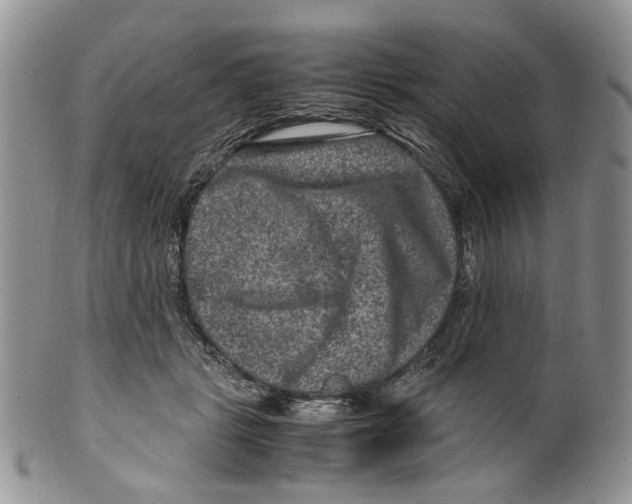 X0000099570461200806131300