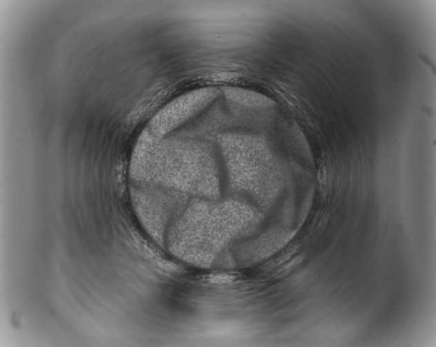 X0000099570462200806131300