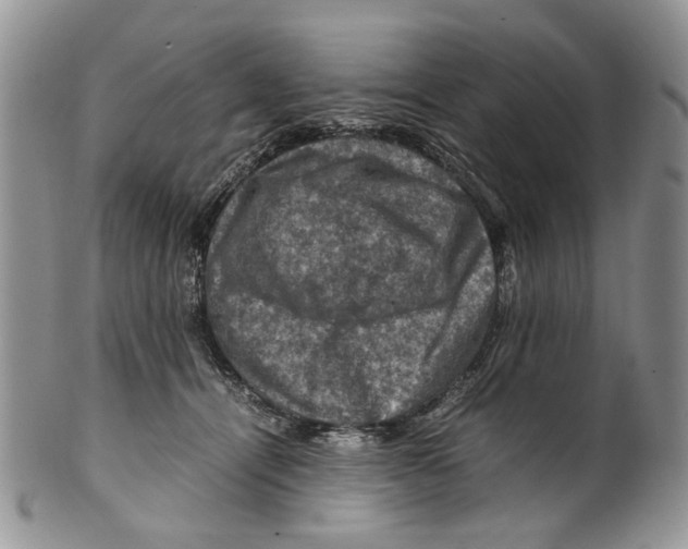 X0000099570464200806131300