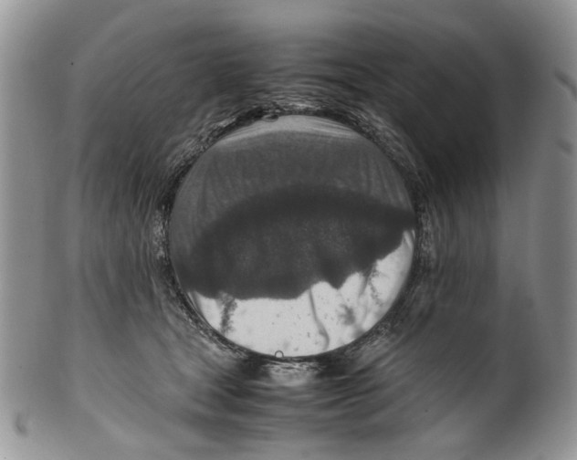 X0000099570465200806131300