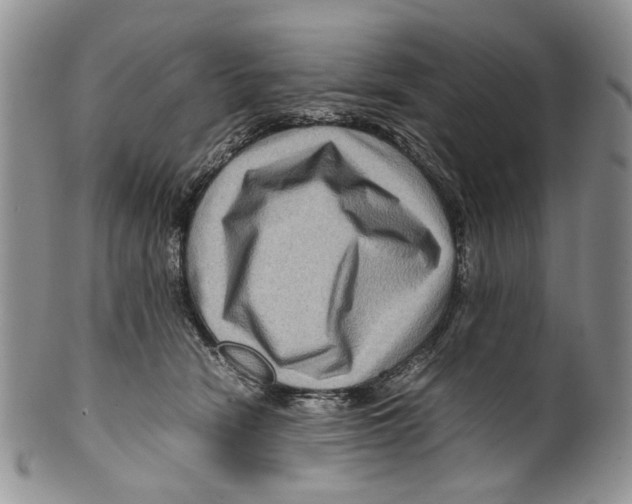 X0000099570466200806131300