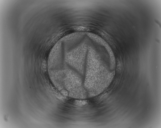 X0000099570469200806131300