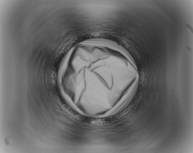 X0000099570470200806131300