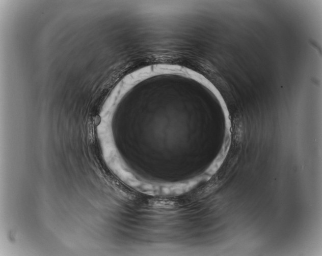 X0000099570471200806131300