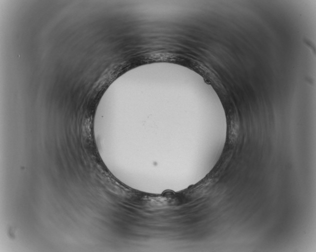 X0000099570473200806131300