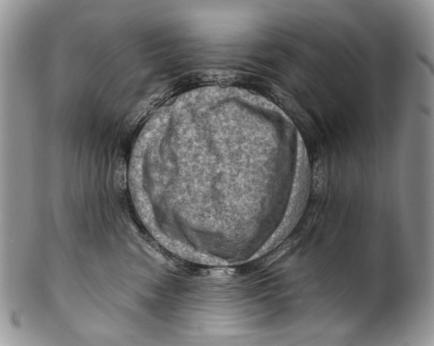 X0000099570474200806131300