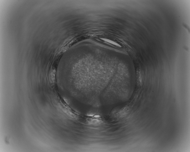 X0000099570475200806131300
