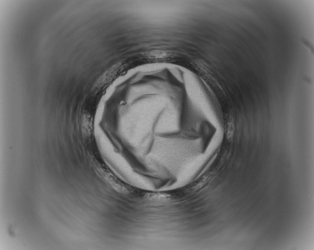 X0000099570476200806131300