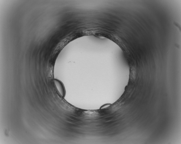 X0000099570477200806131300