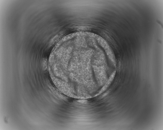 X0000099570478200806131300