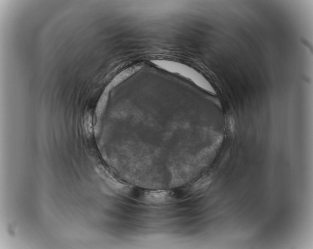 X0000099570479200806131300