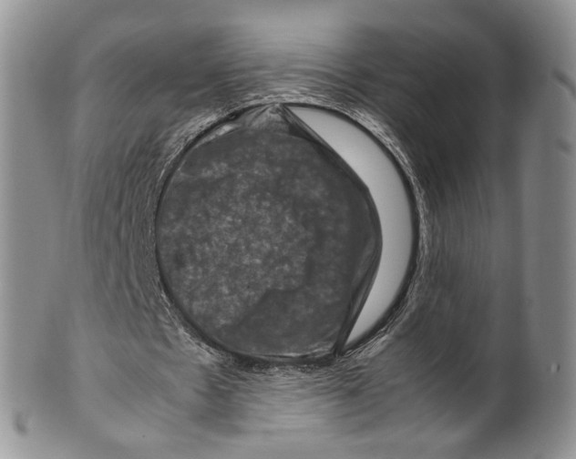 X0000099570481200806131300