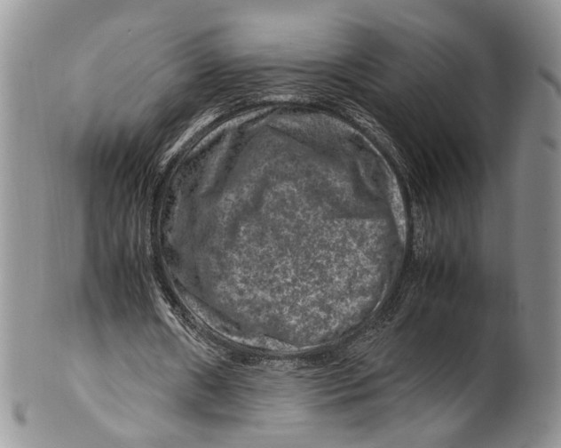 X0000099570482200806131300
