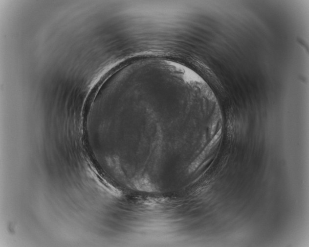 X0000099570484200806131300