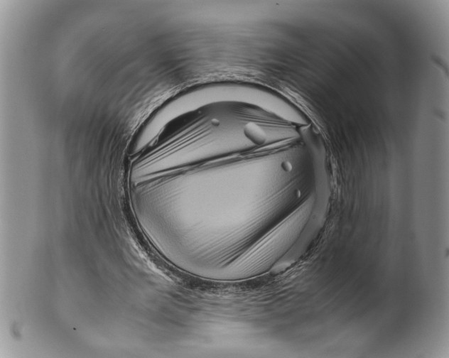 X0000099570485200806131259