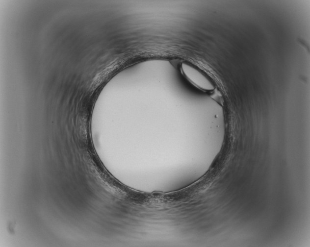 X0000099570489200806131259