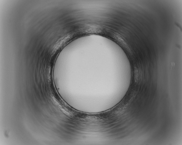 X0000099570490200806131259