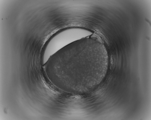 X0000099570492200806131259