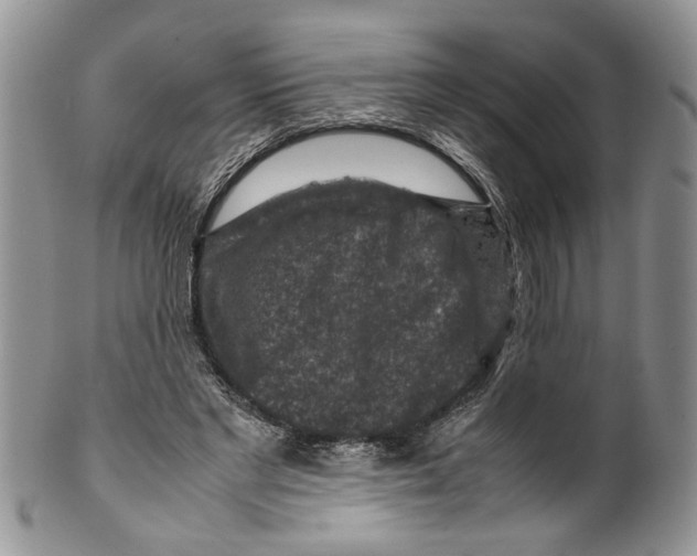 X0000099570493200806131259
