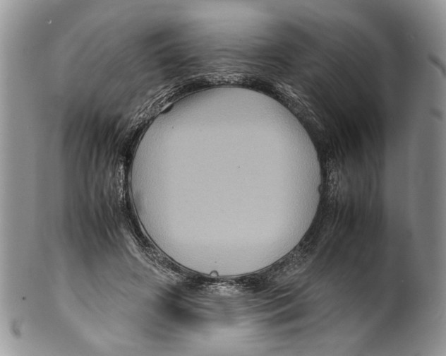 X0000099570498200806131259