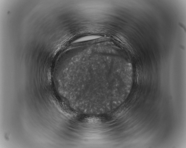 X0000099570500200806131259