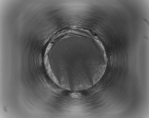 X0000099570508200806131259