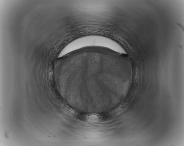 X0000099570513200806131259