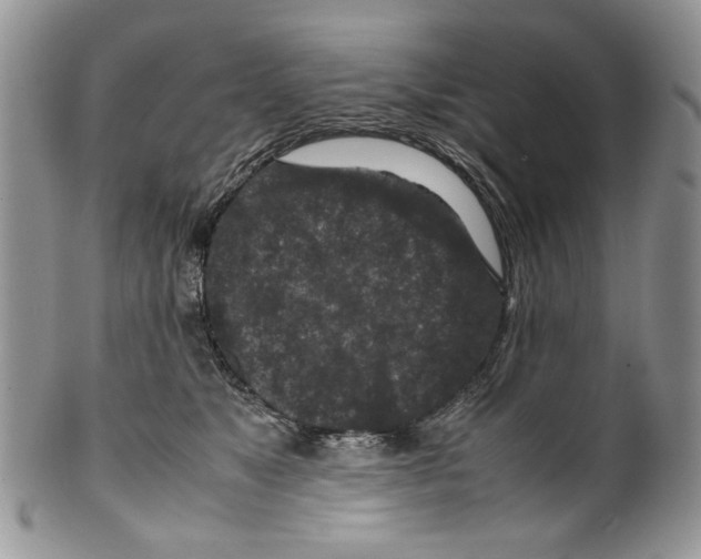 X0000099570517200806131259