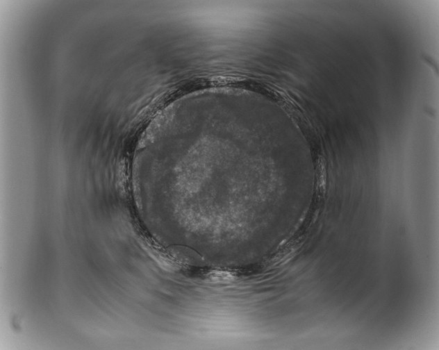X0000099570519200806131259