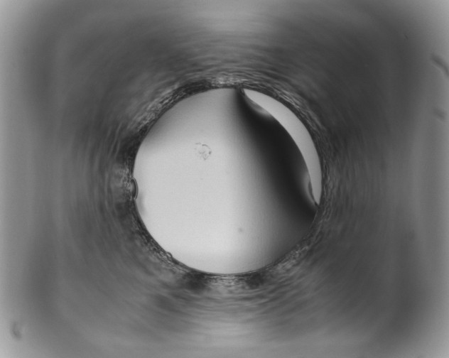 X0000099570521200806131259