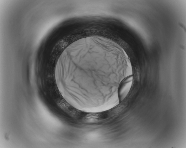 X0000099570526200806131259