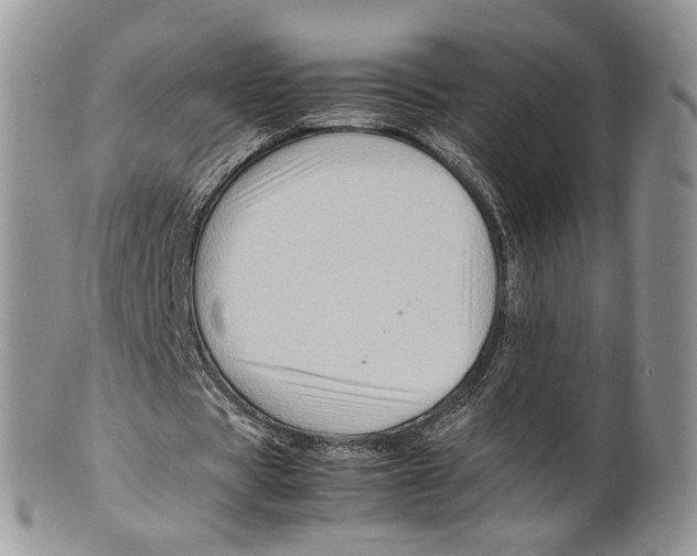 X0000099570529200806131258
