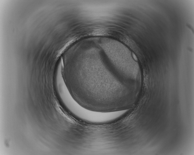 X0000099570530200806131258