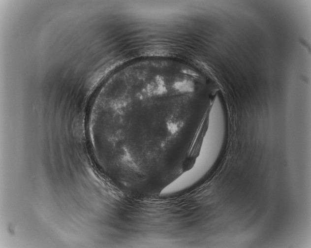 X0000099570531200806131258