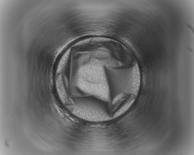 X0000099570532200806131258