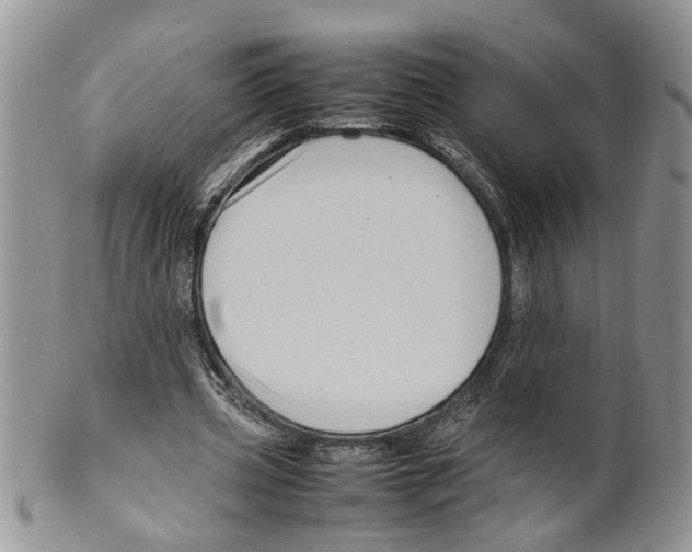X0000099570533200806131258